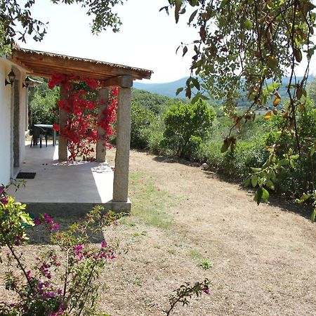 Villa La Puntaccina à Aglientu Extérieur photo