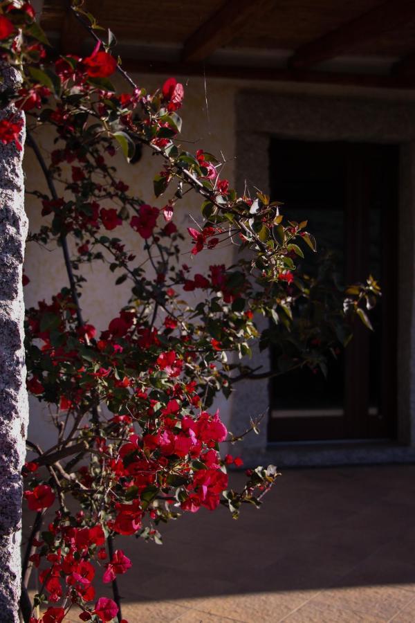 Villa La Puntaccina à Aglientu Extérieur photo
