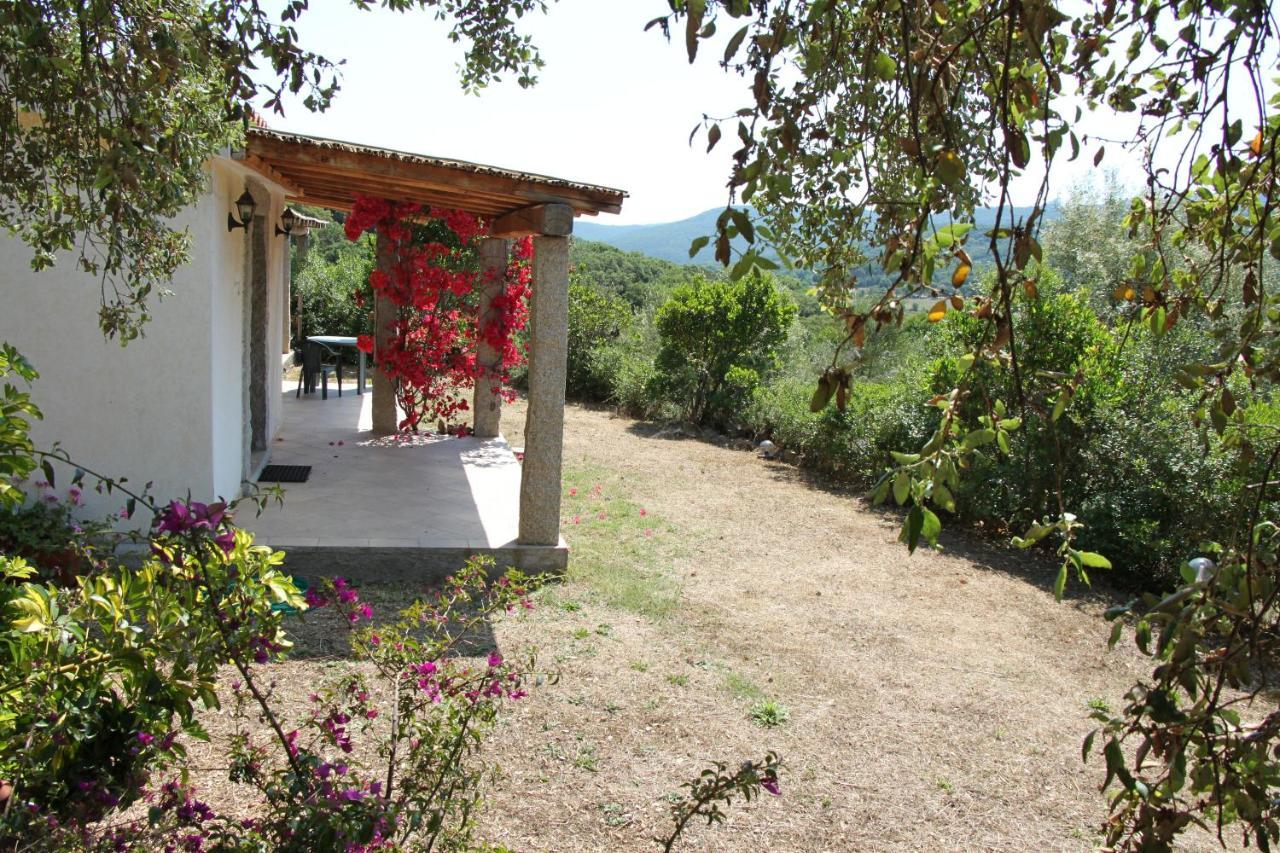 Villa La Puntaccina à Aglientu Extérieur photo