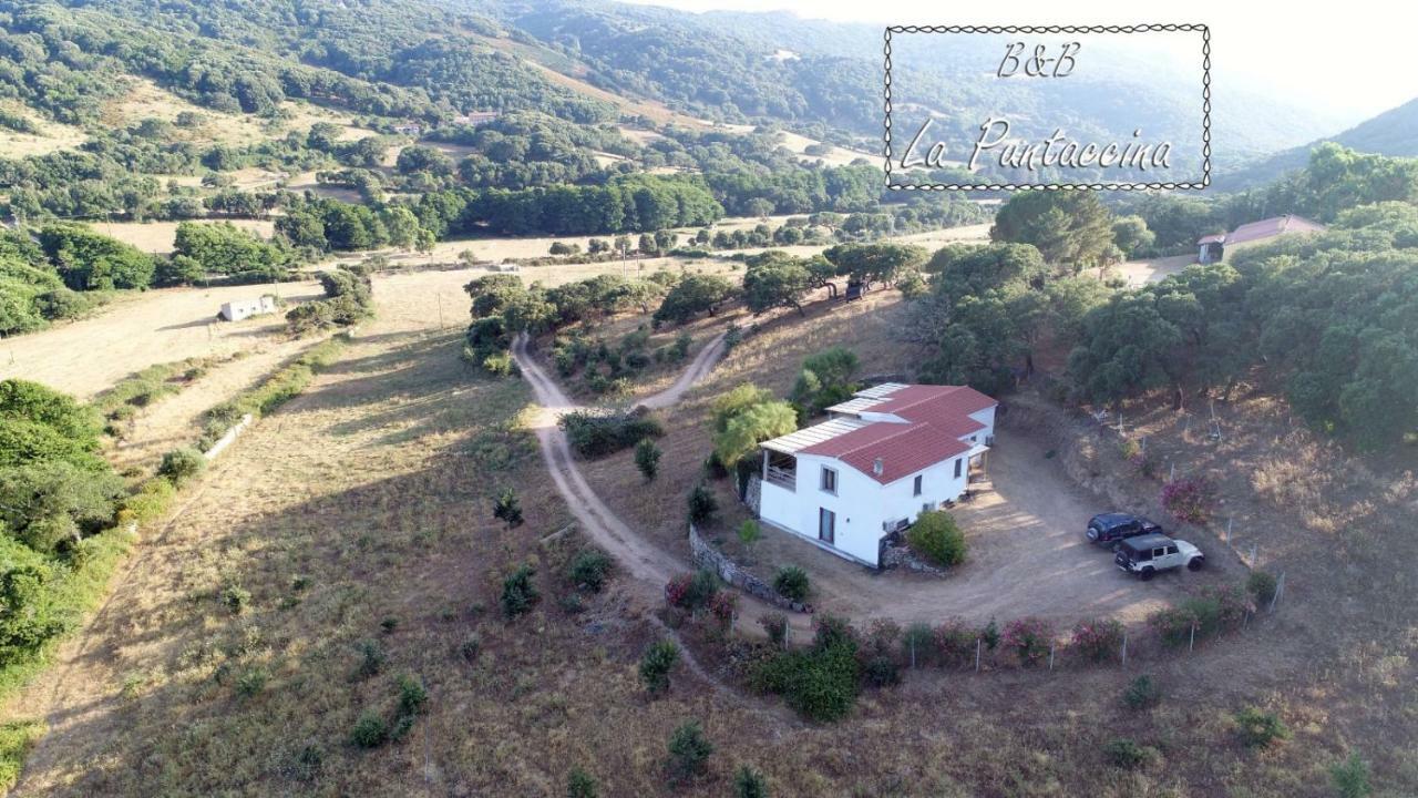Villa La Puntaccina à Aglientu Extérieur photo